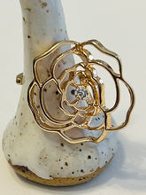 Variety of Rings