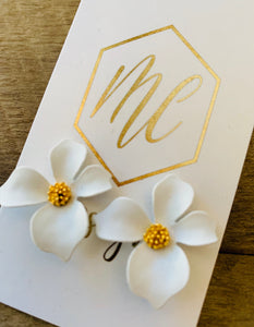 Small flowers with gold inside