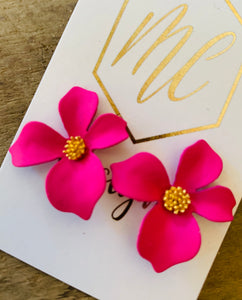 Small flowers with gold inside